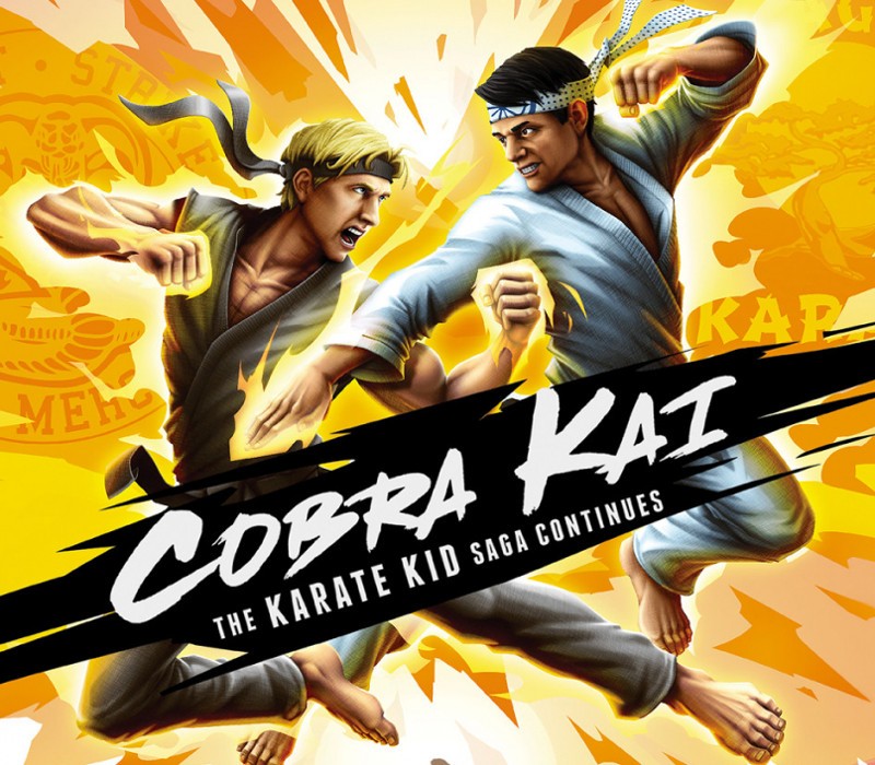 Cobra Kai: The Karate Kid Saga Continues EU Nintendo Switch CD Key ( EUROPE - all countries)