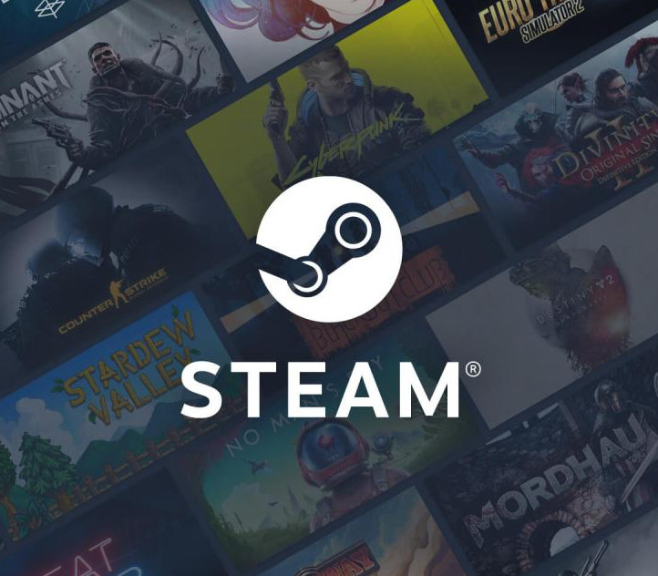 Steam Gift Card ₺10 TR Activation Code (OTHER)