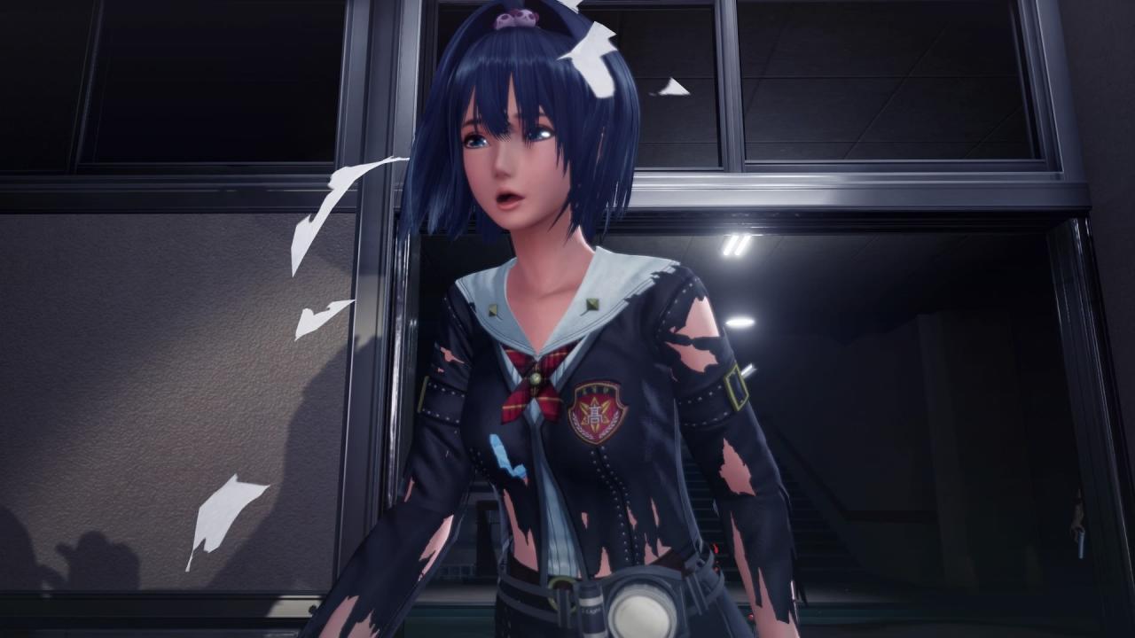 SG/ZH: School Girl/Zombie Hunter Steam CD Key