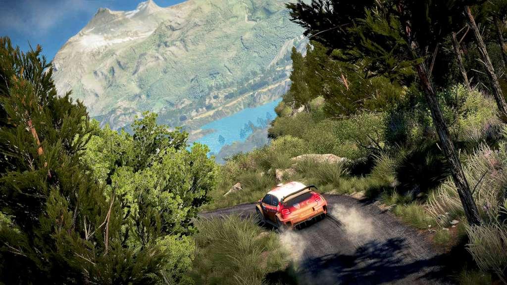 WRC 7: FIA World Rally Championship EU Steam CD Key ( EUROPE - all countries)