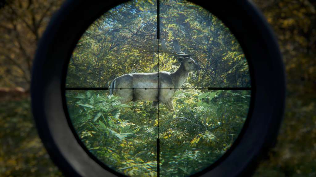 theHunter: Call of the Wild TR Steam CD Key (OTHER)