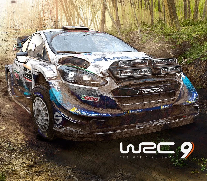 WRC 9 FIA World Rally Championship EU Epic Games CD Key ( EUROPE - all countries)